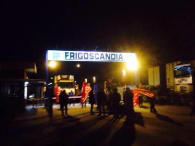 frigoscandia