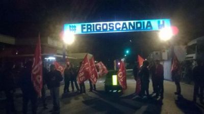 frigoscanida